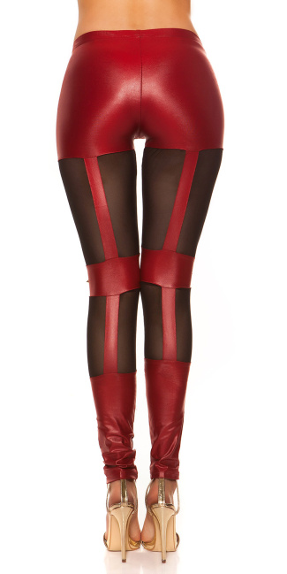 wetlook-leggings with studs Bordeaux